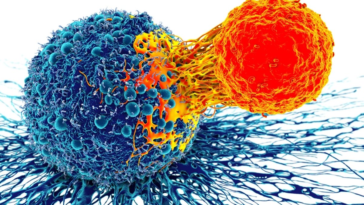Study says childhood cancer survivors not more likely to undergo abortion 1 Cancer Digpu 1