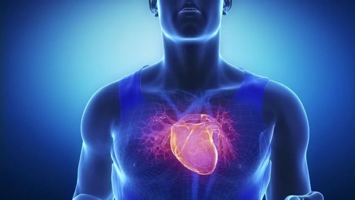 Engineers develop wireless implant stimulators for spinal cord, heart therapies 1 Engineers develop wireless implant stimulators for spinal cord, heart therapies