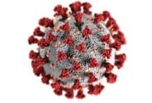 coronavirus