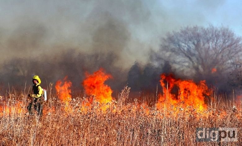 Catastrophic wildfires create havoc in southern Turkey