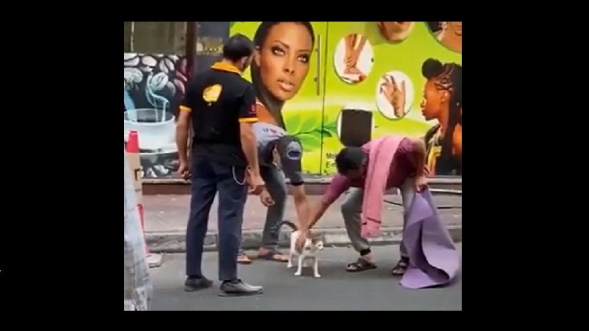 Keralites among 4 rewarded for act of kindness that saved a pregnant cat