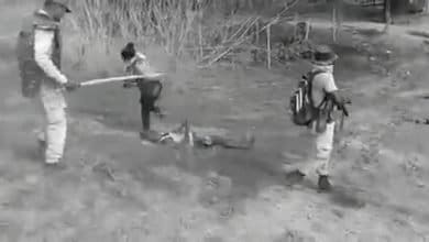 Assam Violence Journalists Union of Assam vehemently condemns inhuman activity by photographer