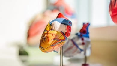 World Heart Day- Healthy lifestyle can preempt future heart ailments - Digpu News