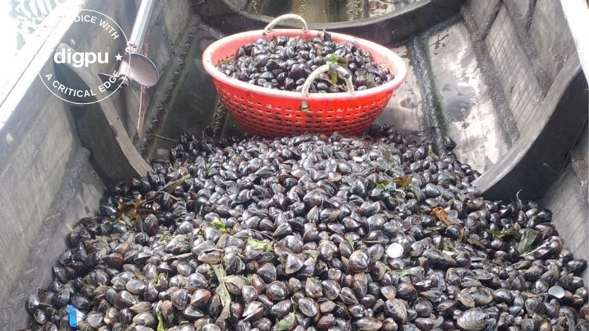 CMFRI efforts boost clam-fishery and livelihood options of Kerala fishermen