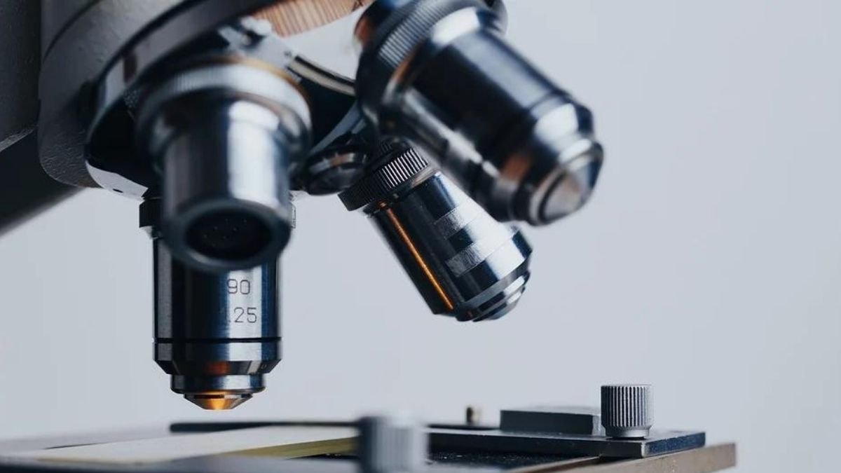 Suramin drug reduces emergence of drug resistance in mycobacteria: RGCB Study