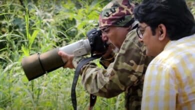 Rapid urbanisation killing bird habitats said Neeraj Chawla