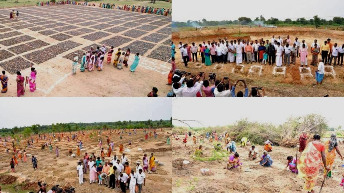 Sights of DRDA Team under the leadership of District Collector along with Minister for Handlooms and Textiles R.Gandhi involved in planting up of Palmyra Palm Seeds in Ranipet District.