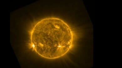 Solar Snake