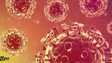 'Mysterious pneumonia' plagues Chinese children: The WHO and other global experts are spooked, fearing the onset of another pandemic.