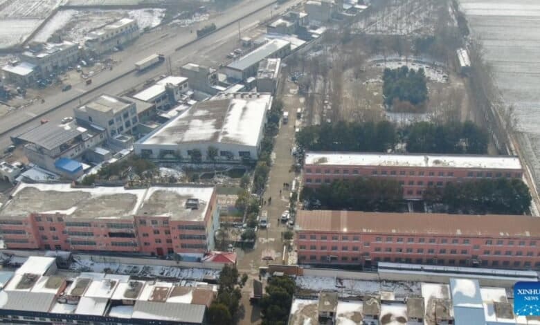 Tragedy Strikes as Dormitory Fire Claims Lives of 13 Students in Central China