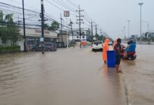 It’s Not Just Global Warming: How El Niño, a Hotter Planet and Human Choices Turn Hazards into Disasters